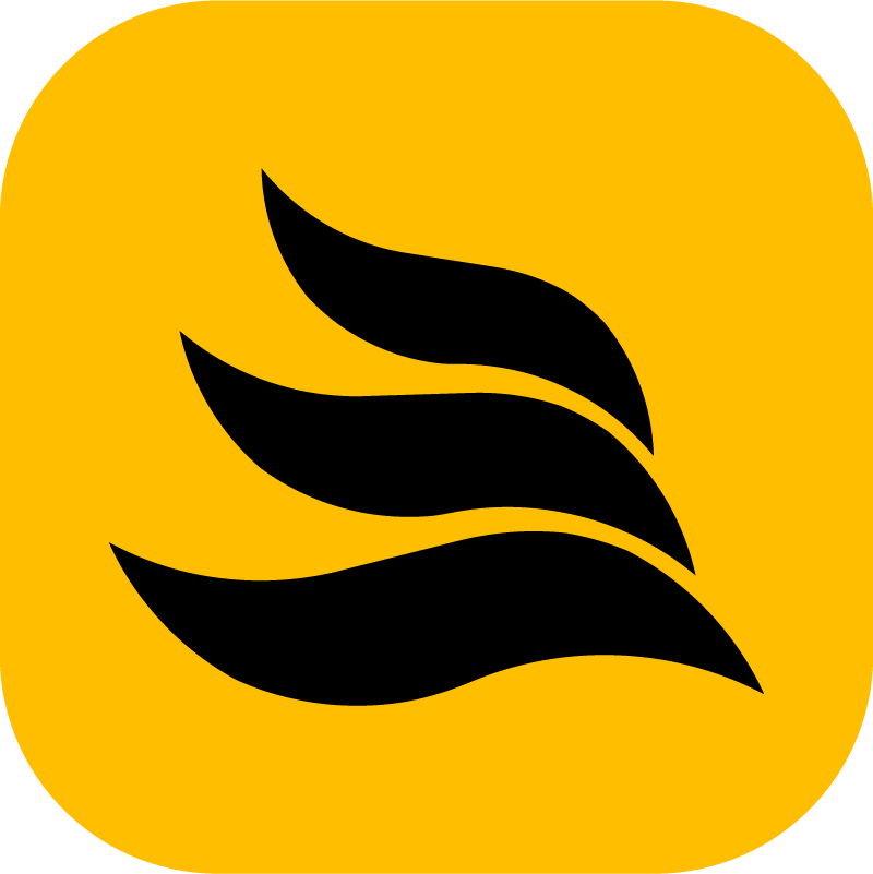 The package icon